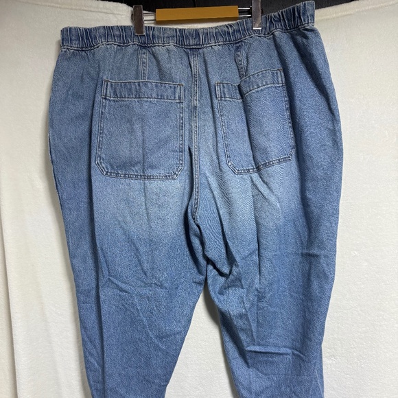 Madewell Women's Jeans 4X  Pull-On Relaxed Beswick - Elastic Waist - Picture 5 of 9